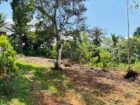 කදන්හේන පංසල අසල, හොරණ ඉඩමක් ඉක්මනින් විකිණීමට!