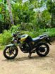 Yamaha FZ V2 