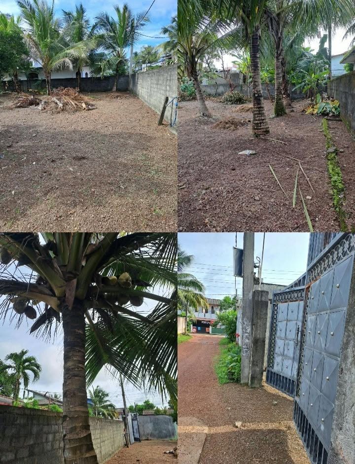 පානදුර මානමුල්ල TOP TOWN හී අනර්ඝ ඉඩමක් විකිණීමට