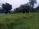 පිලියන්දල ගොන්ස්මඩිත්ත පාර පර්චසය 6.65 ඉඩම විකිනිමට