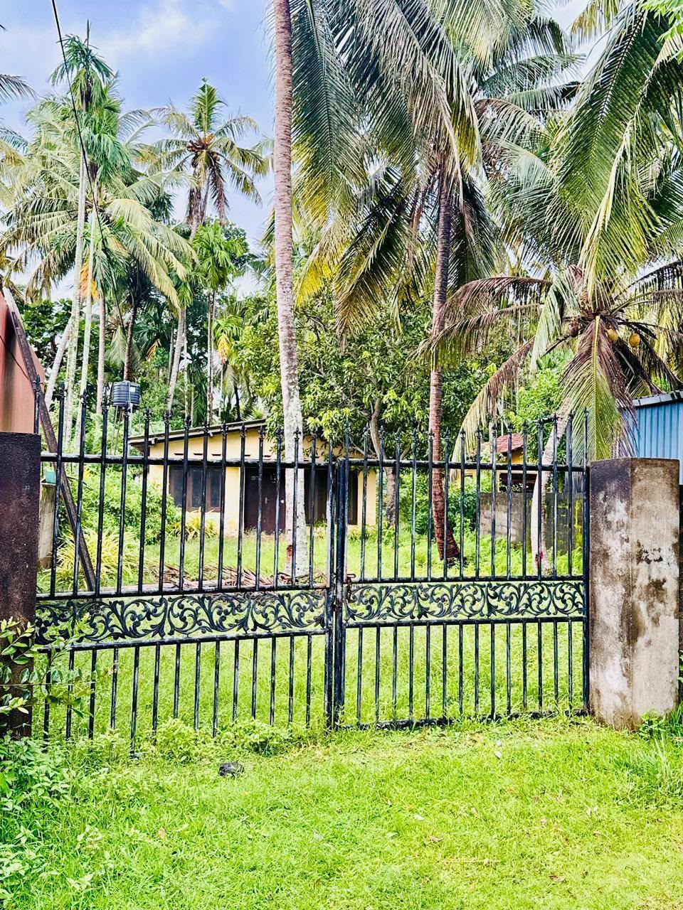 වත්තල උස්වැටකෙයියාවෙන් පර්චස් 23ක ඉඩමක් සමඟ නිවසක් වහාම විකිණීමට තිබේ.