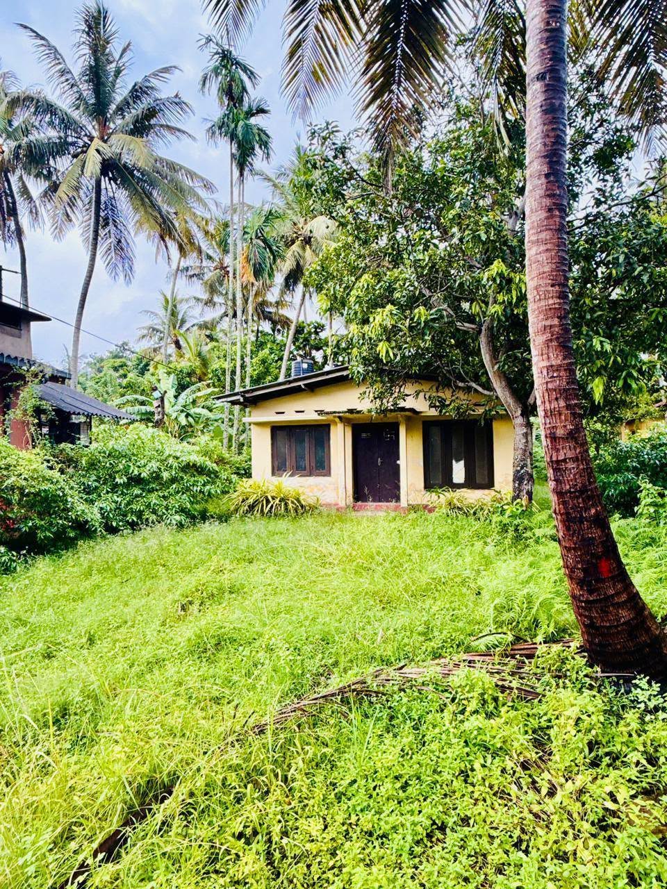 වත්තල උස්වැටකෙයියාවෙන් පර්චස් 23ක ඉඩමක් සමඟ නිවසක් වහාම විකිණීමට තිබේ.