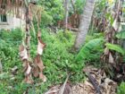PRIME 8.6 PERCH LAND FOR SALE – EXCELLENT MAIN ROAD LOCATION