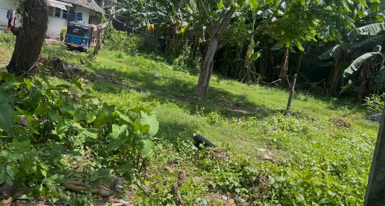 Land for sale in Mount Lavinia ,
