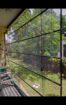 Bamboo blinds