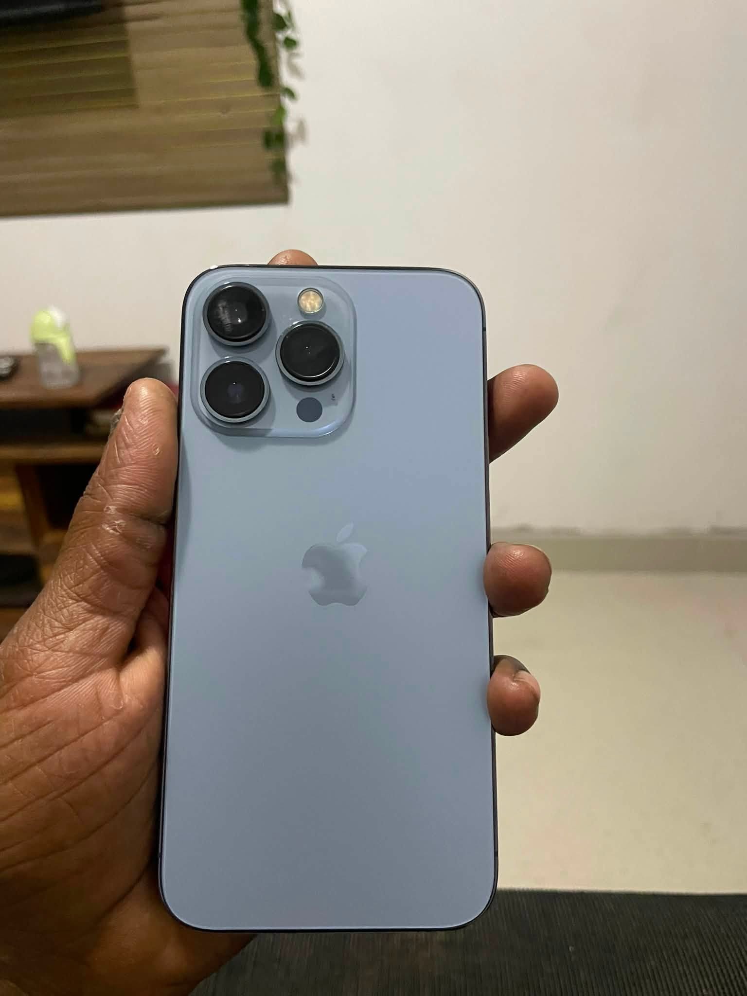 13 pro 256 gb