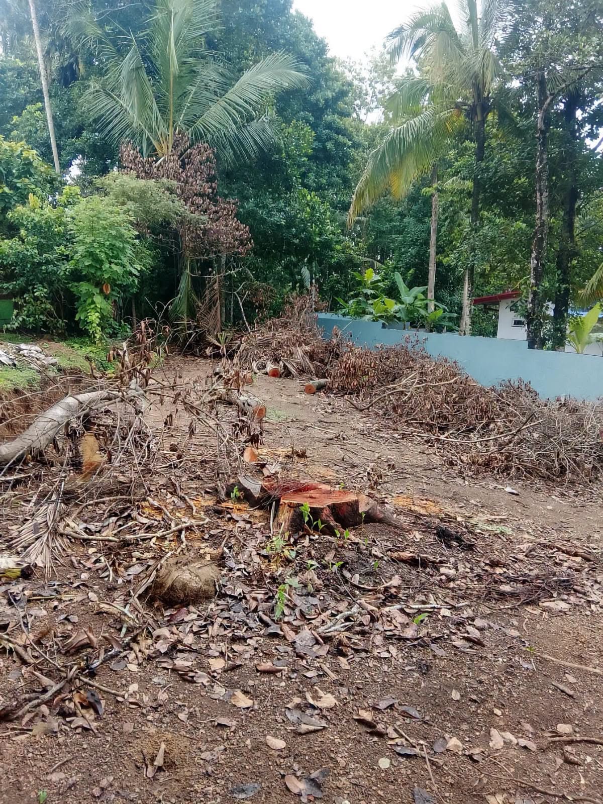 පානදුර අරුක්ගොඩ පර්චස් 10 ඉඩමක් විකිණීමට