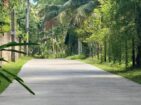 මරදගහමුල නගරයෙන් සේලන් බැන්කුව අසල පර්ච් 15 විකිණිමට