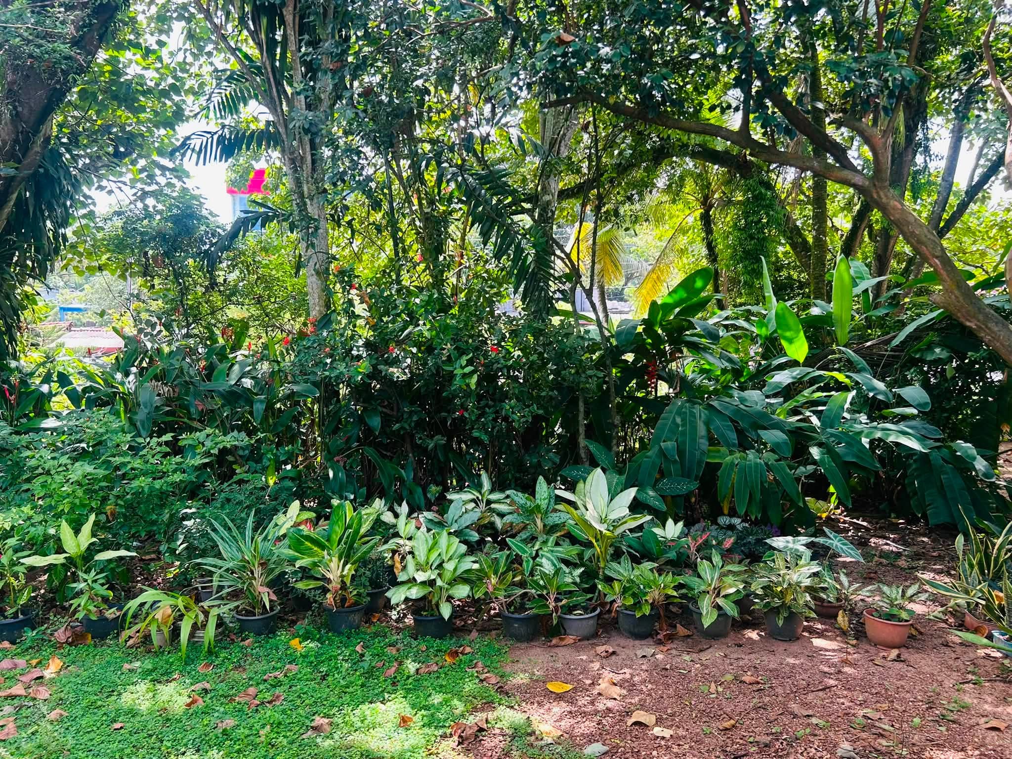 KOTTAWA- MATHTHEGODA JUNCTION VALUABLE COMMERCIAL LAND FOR SALE