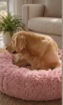 Premium Round Pet Bed!