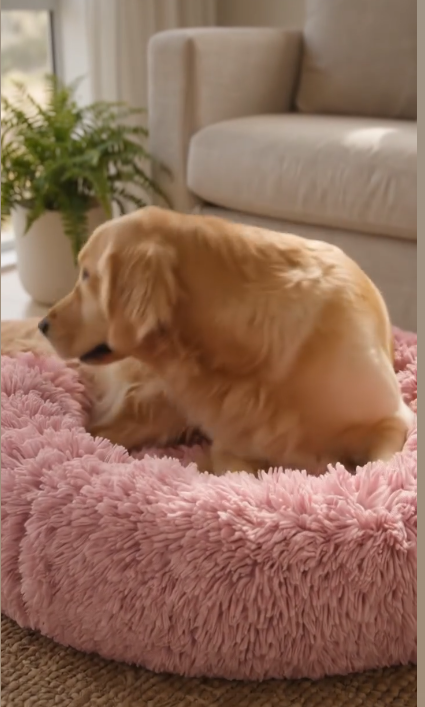 Premium Round Pet Bed!