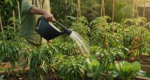 5L Watering Can